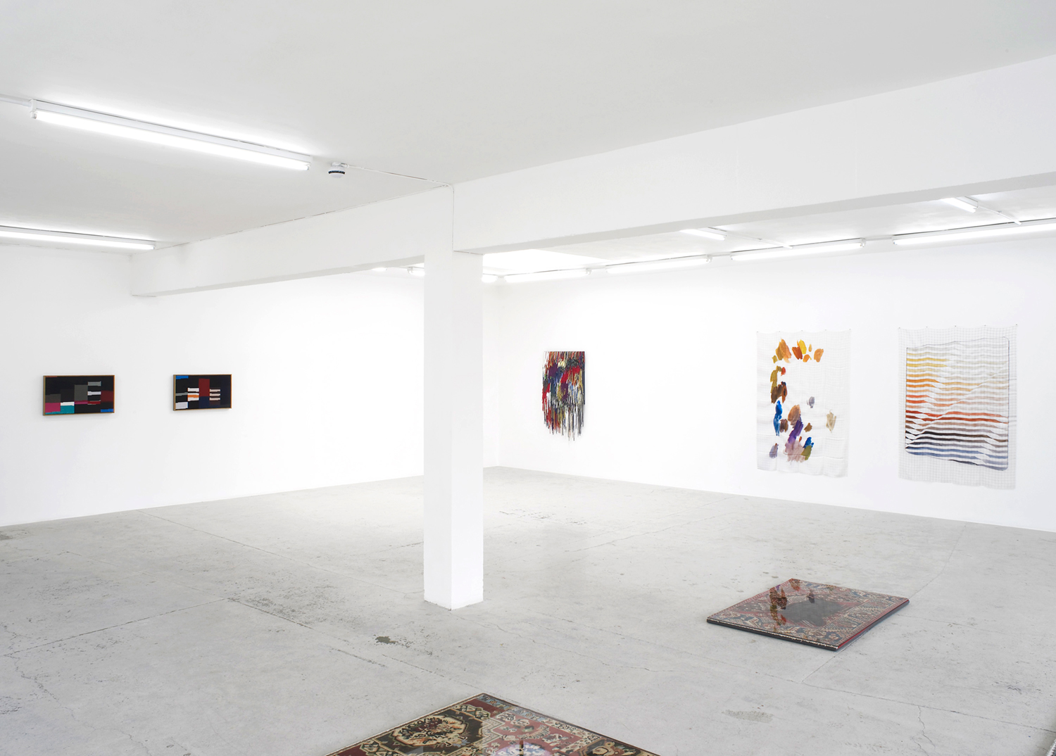 Fay Nicolson, Accordion