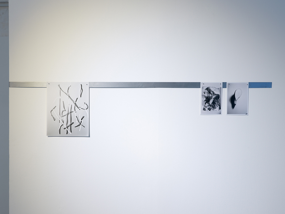 Fay Nicolson, Basic structures of